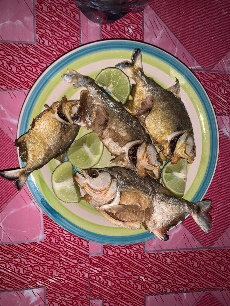 10 Incredible Experiences in South America 046f7dd6 b371 4eb0 a093 acebd5eb0b3a