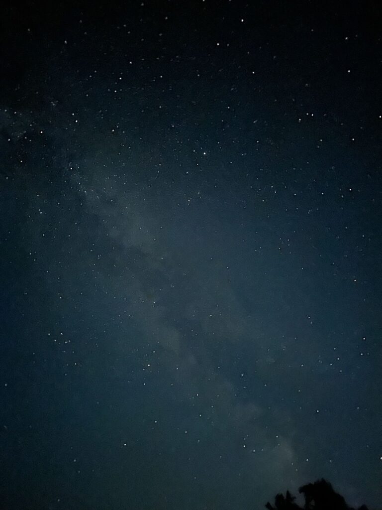 59039c34 9198 4cd4 A329 E724addb49d3 768x1024