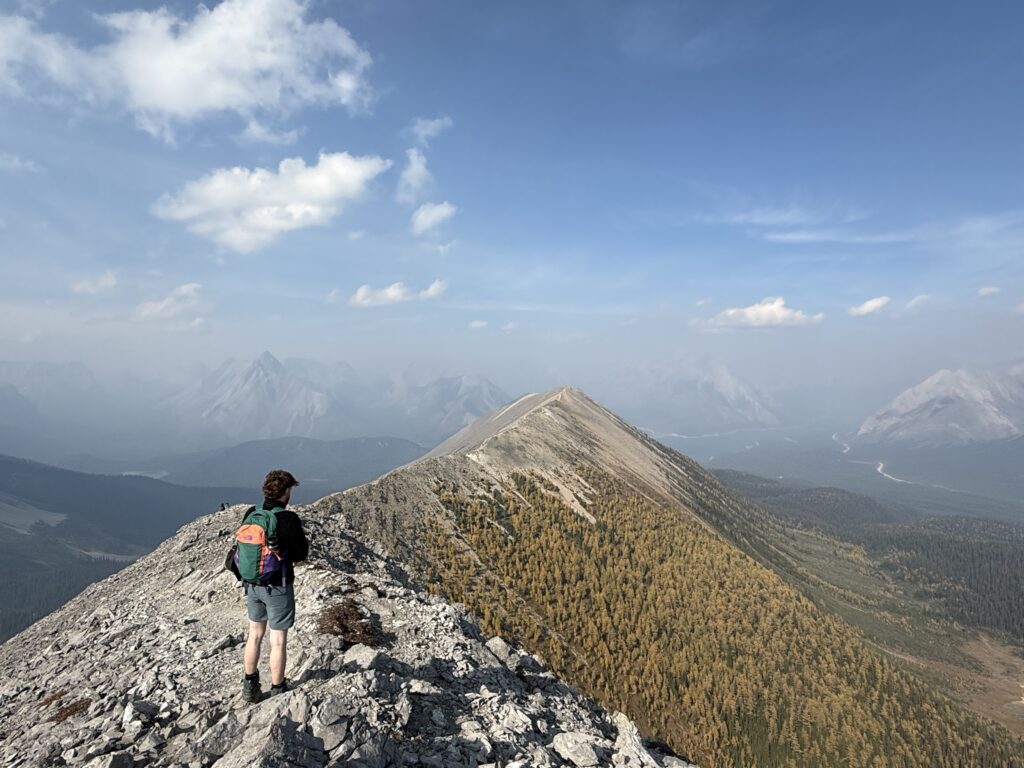 Tent Ridge, Kananaskis AB img 4500