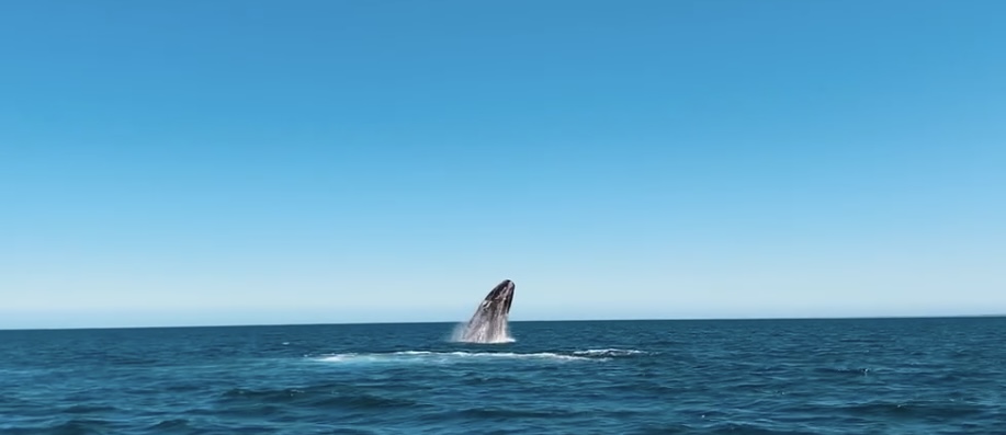 10 Incredible Experiences in South America screenshot