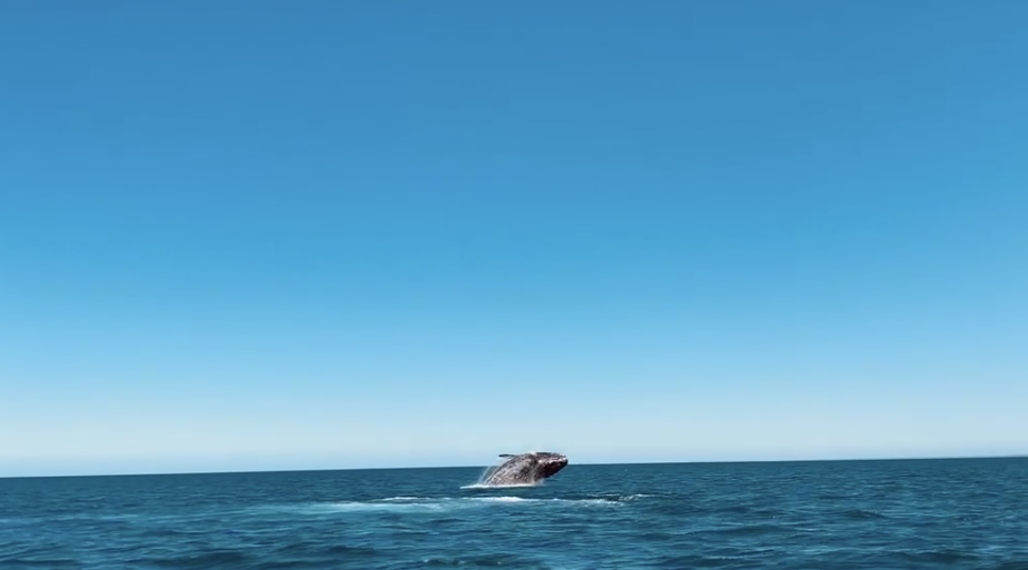 10 Incredible Experiences in South America screenshot