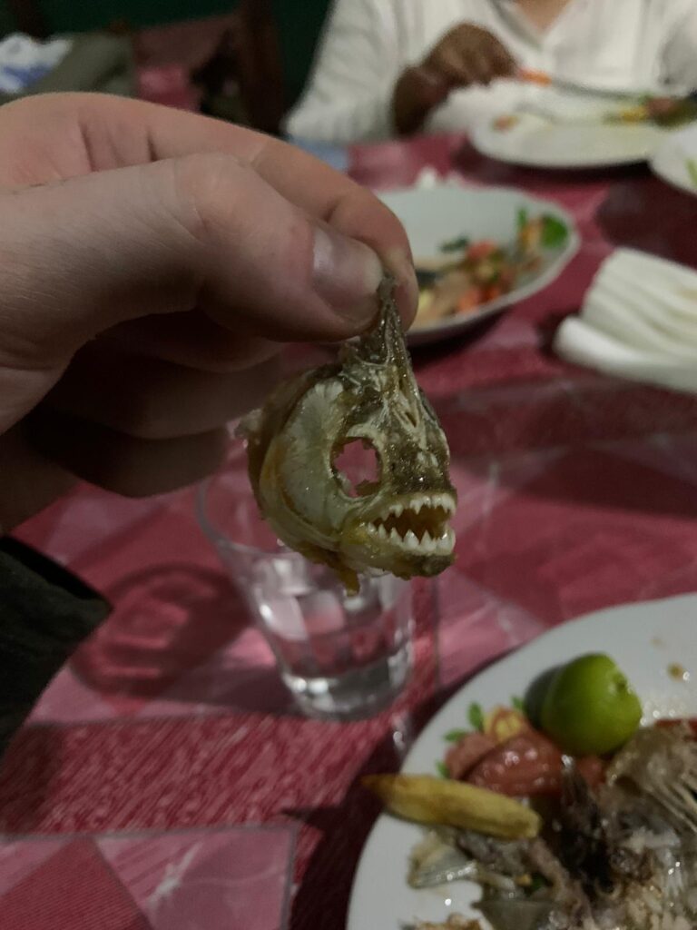 10 Incredible Experiences in South America aa39dcde 86be 468e 8705 151ce3502a82