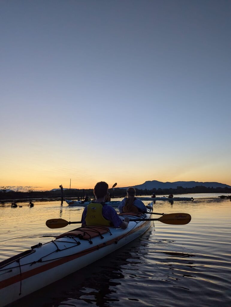 Bioluminescent Kayaking on Vancouver Island Fd7226c3 F10d 4d00 9a93 848325623f1d 771x1024