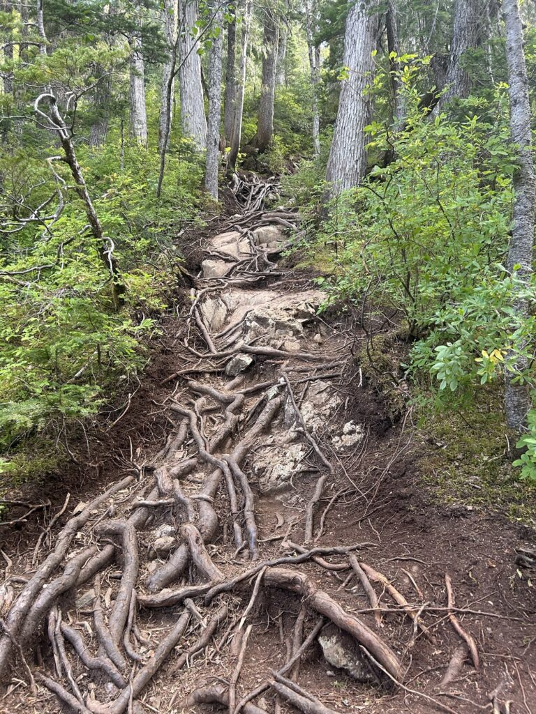 5040 Peak & Cobalt Lake, Vancouver Island Img 4157 768x1024