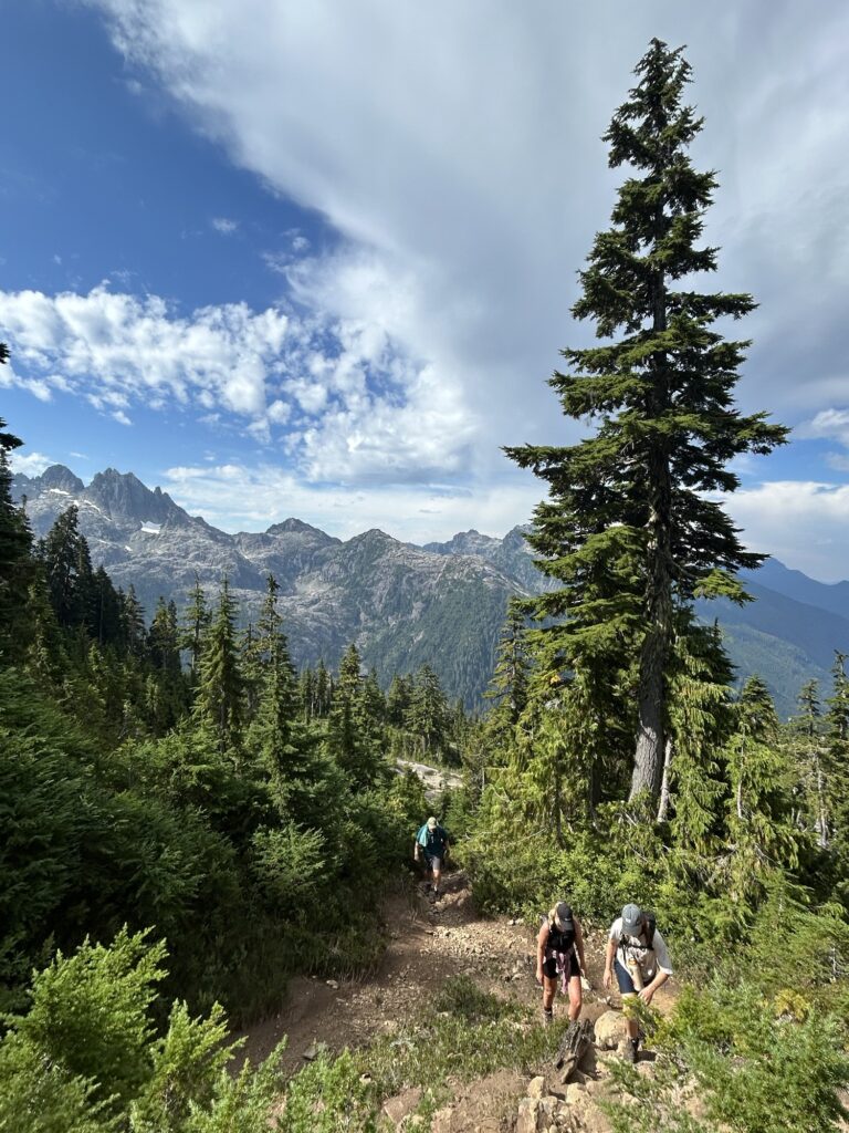 5040 Peak & Cobalt Lake, Vancouver Island Img 4168 768x1024
