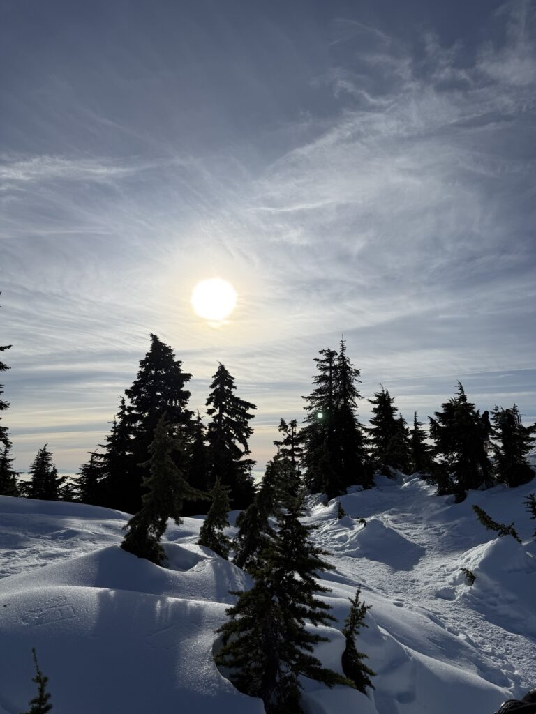 Img 5394 768x1024