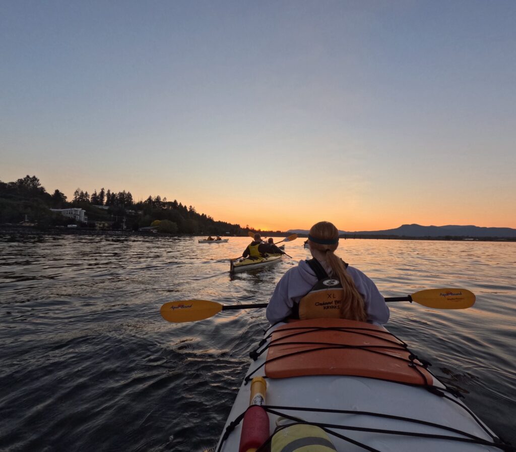 Bioluminescent Kayaking on Vancouver Island Img 5636 1024x896