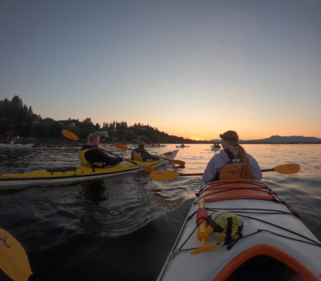 Bioluminescent Kayaking on Vancouver Island Img 5638 1024x896
