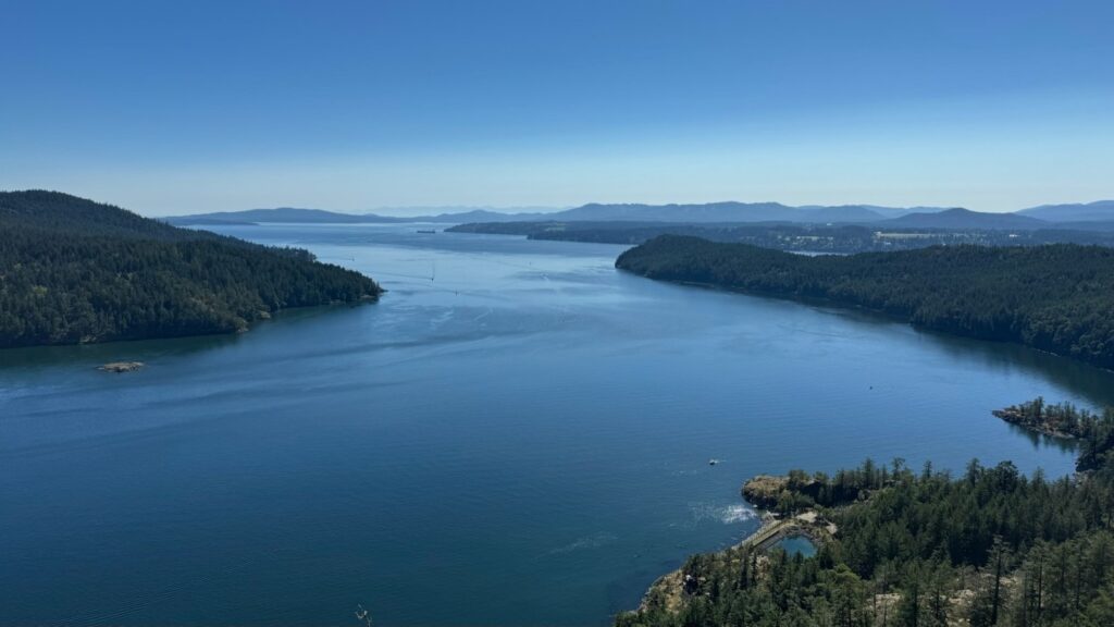 Bioluminescent Kayaking on Vancouver Island Img 5640 1024x576