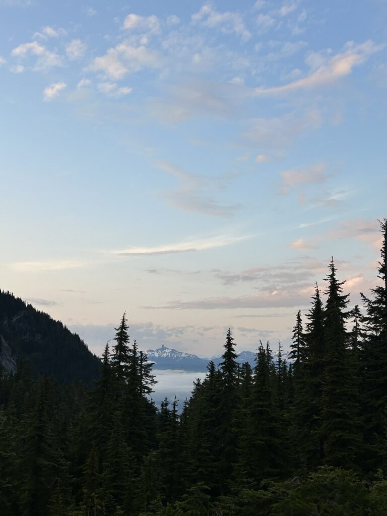 img 3336