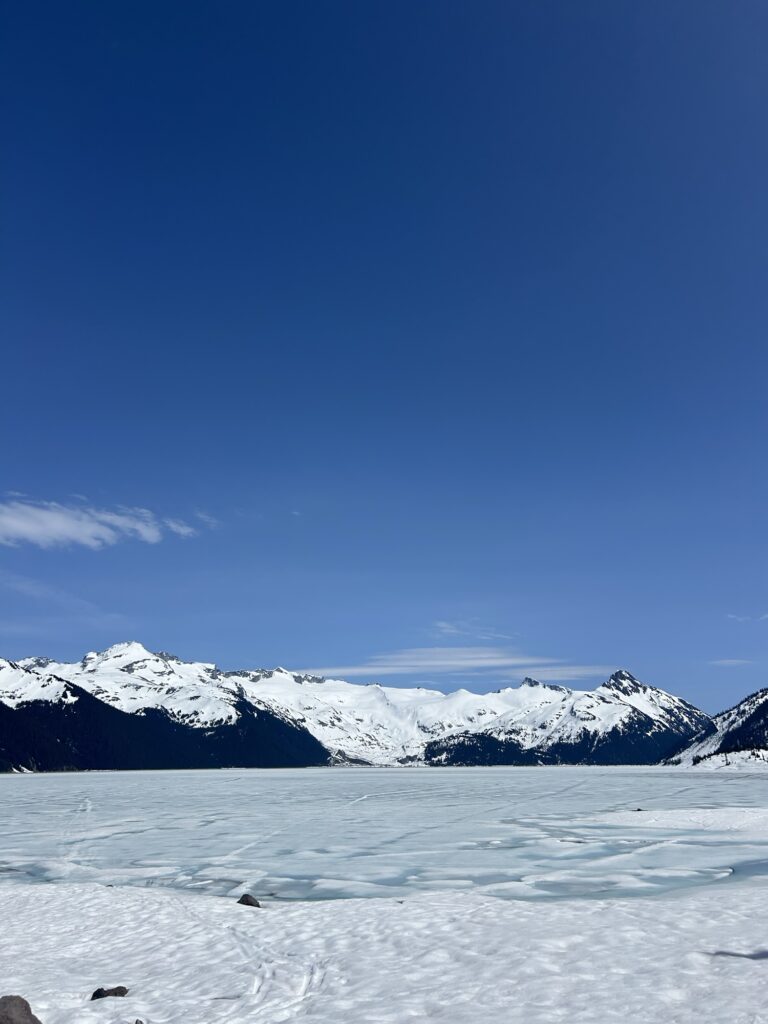 Img 3007 768x1024