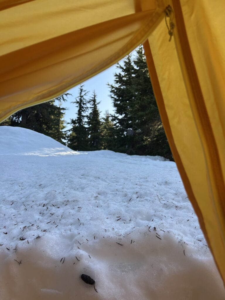 img 3021