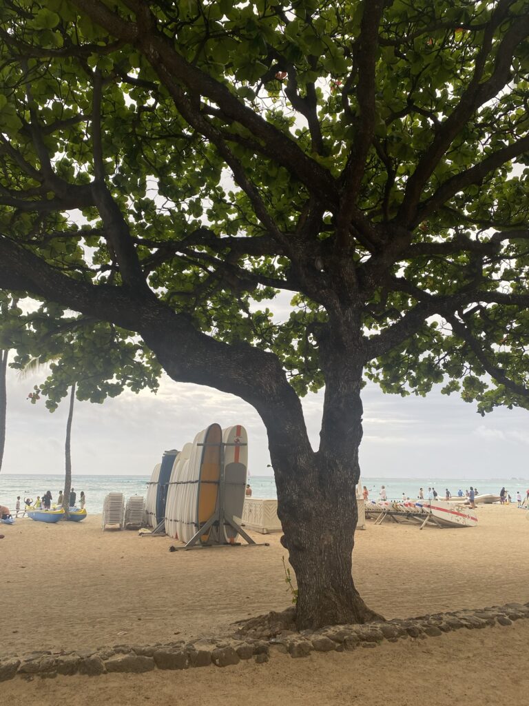img 0438