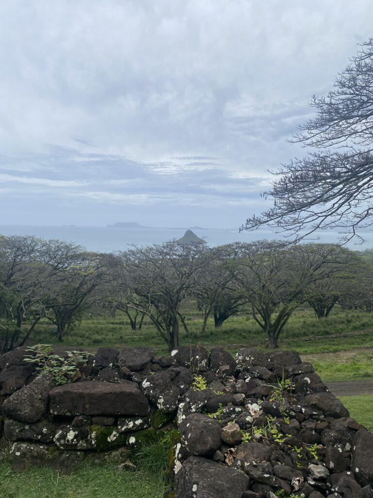 img 0464