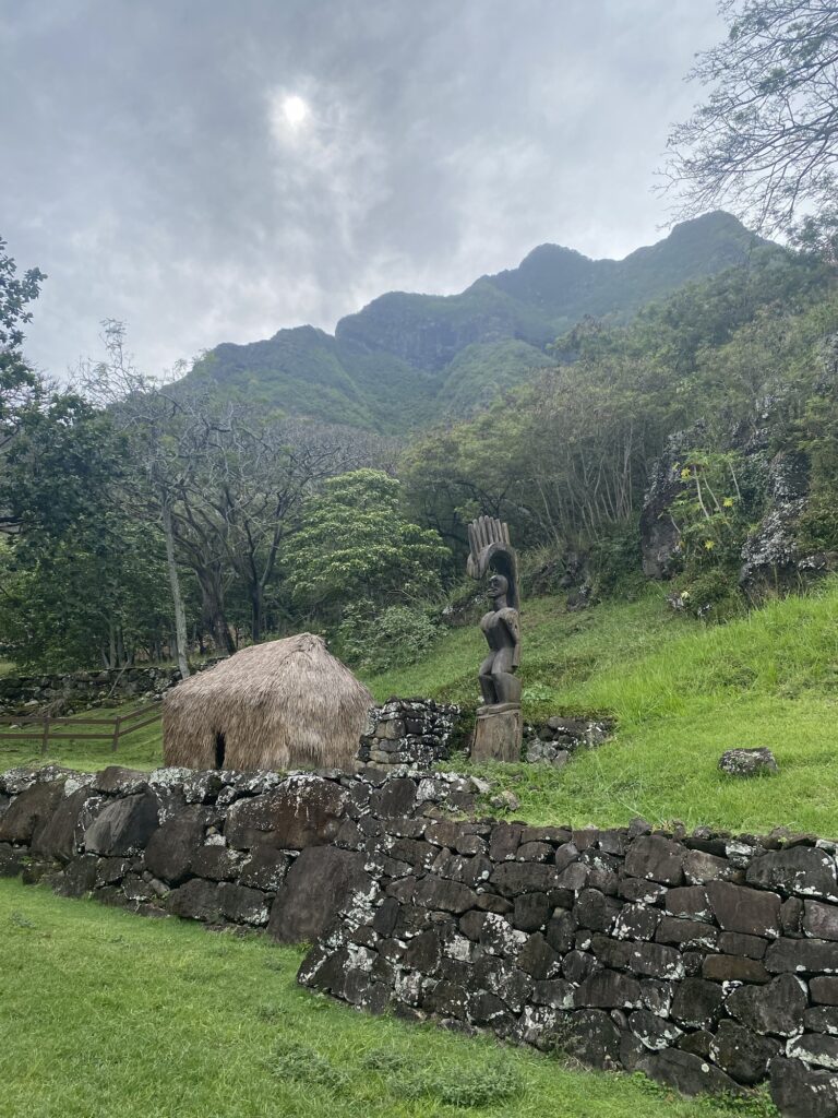img 0465