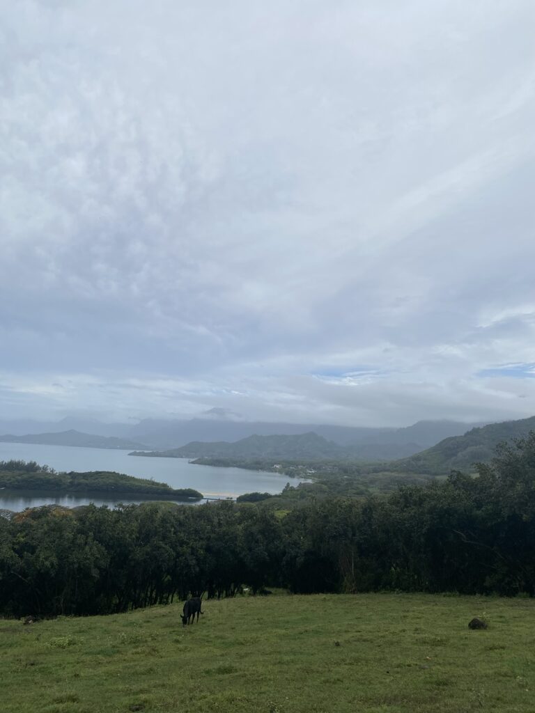 img 0468