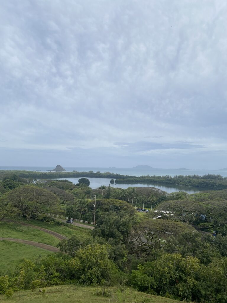 img 0469