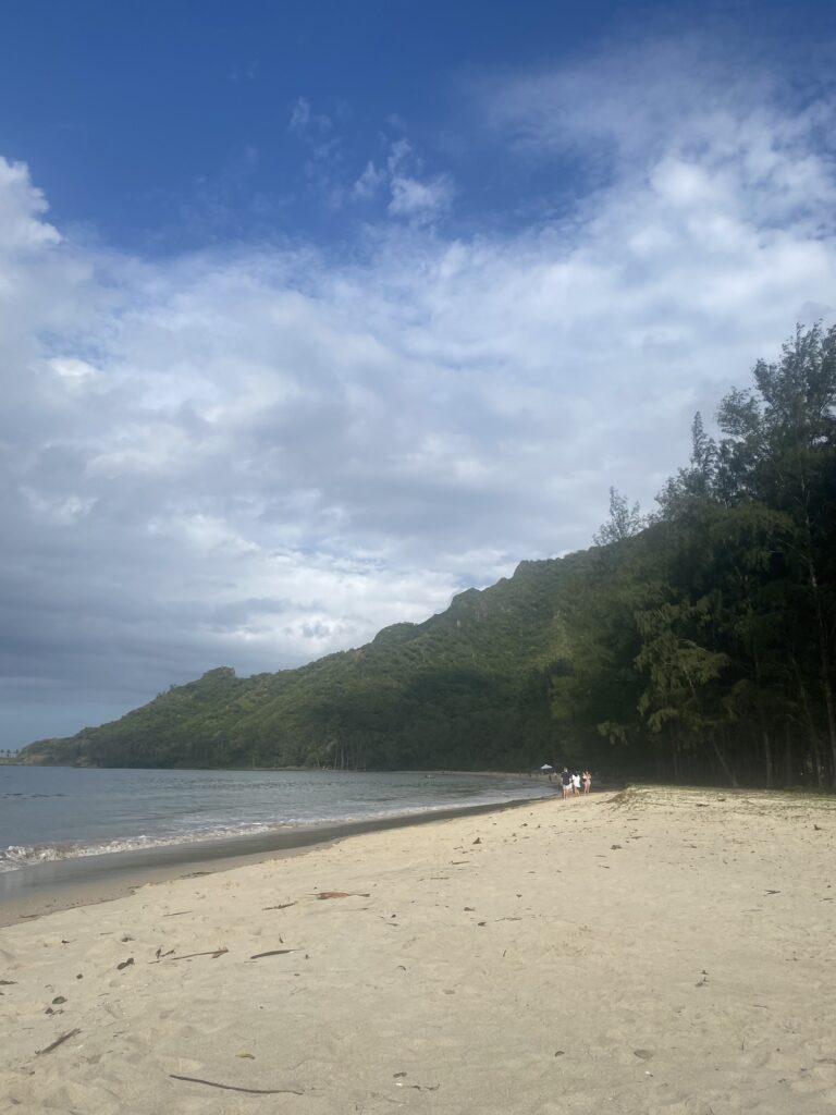 img 0503