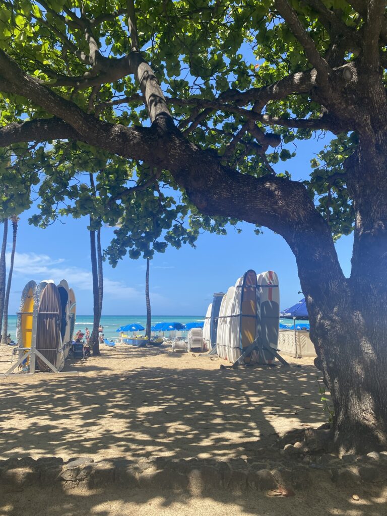 img 0552