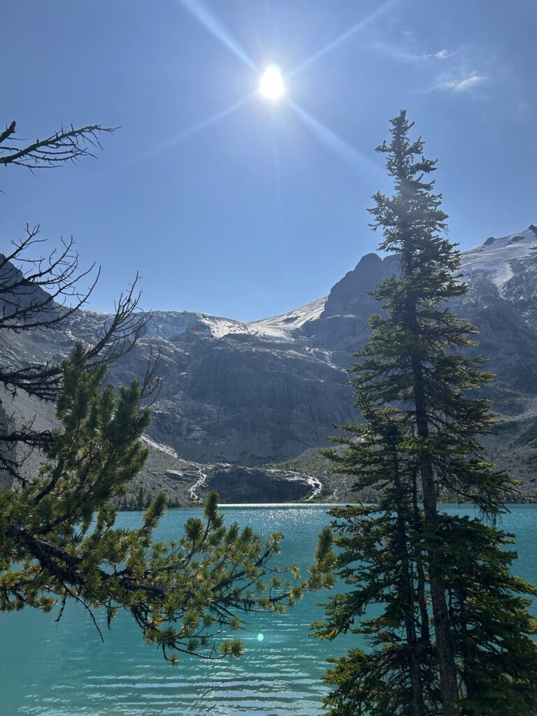 img 0878 1