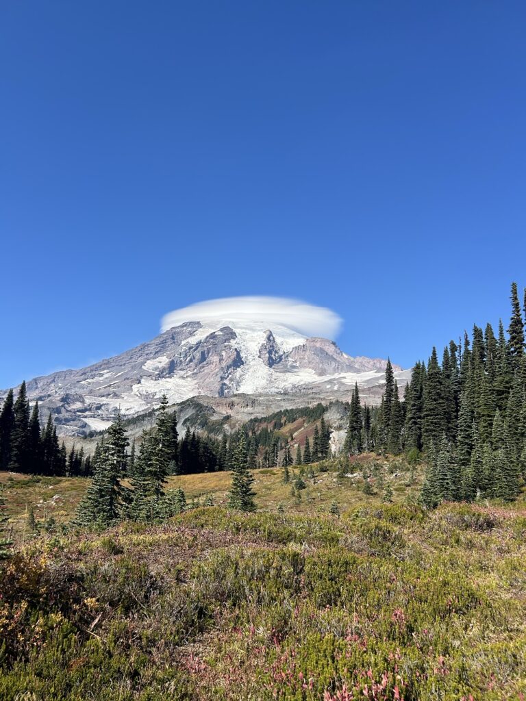 The Skyline Loop Trail, Mount Rainier img 1366