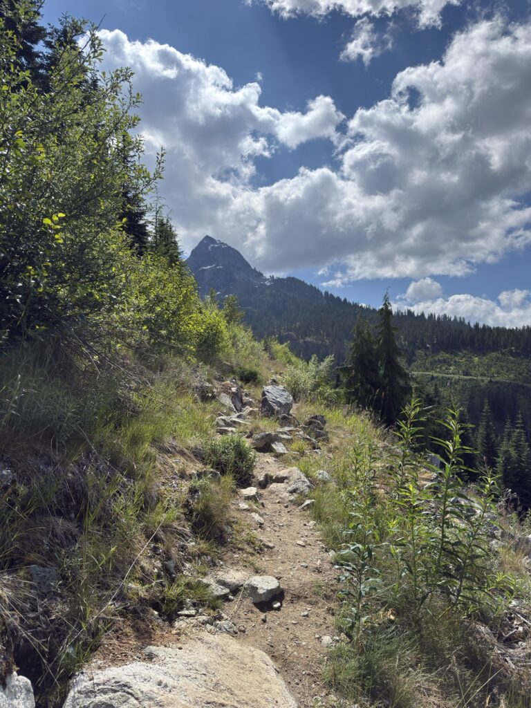 Watersprite Lake Img 6879 768x1024
