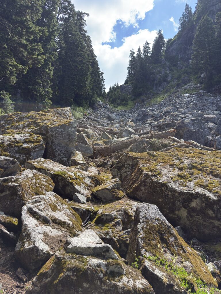 Watersprite Lake Img 6893 768x1024