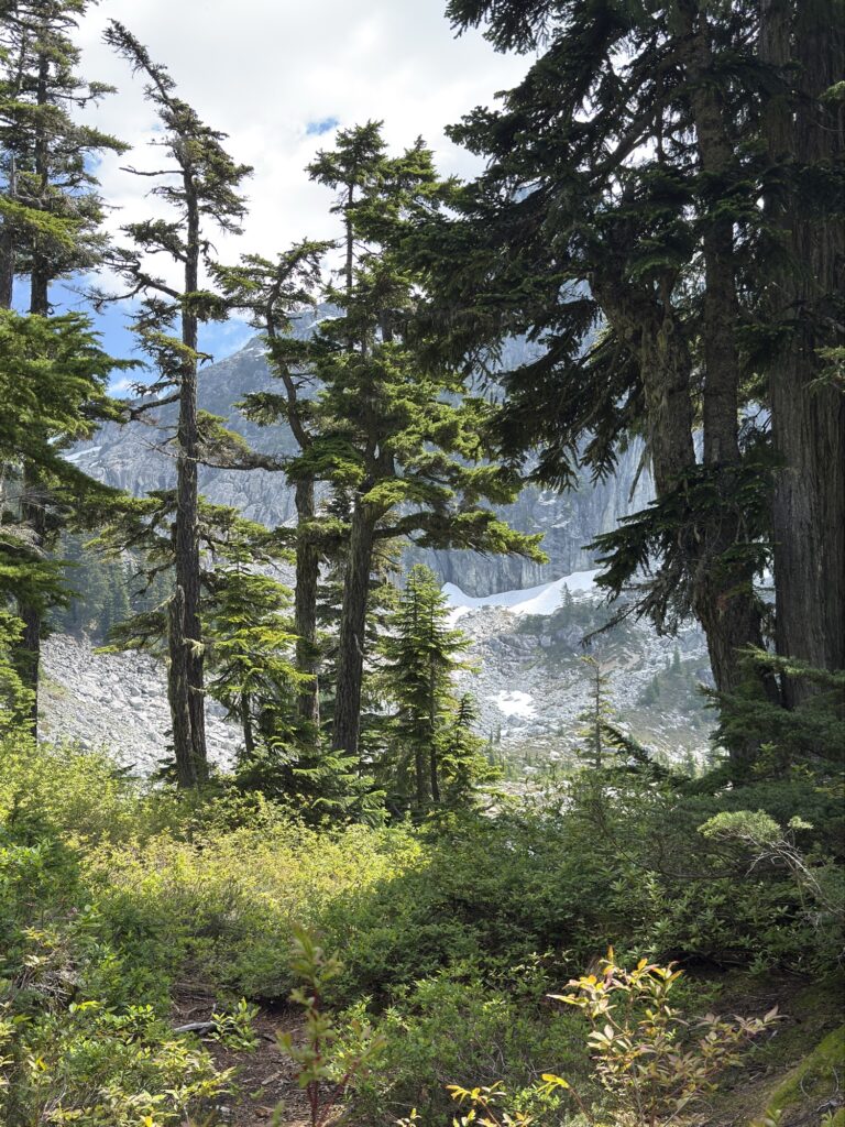 Watersprite Lake img 6934