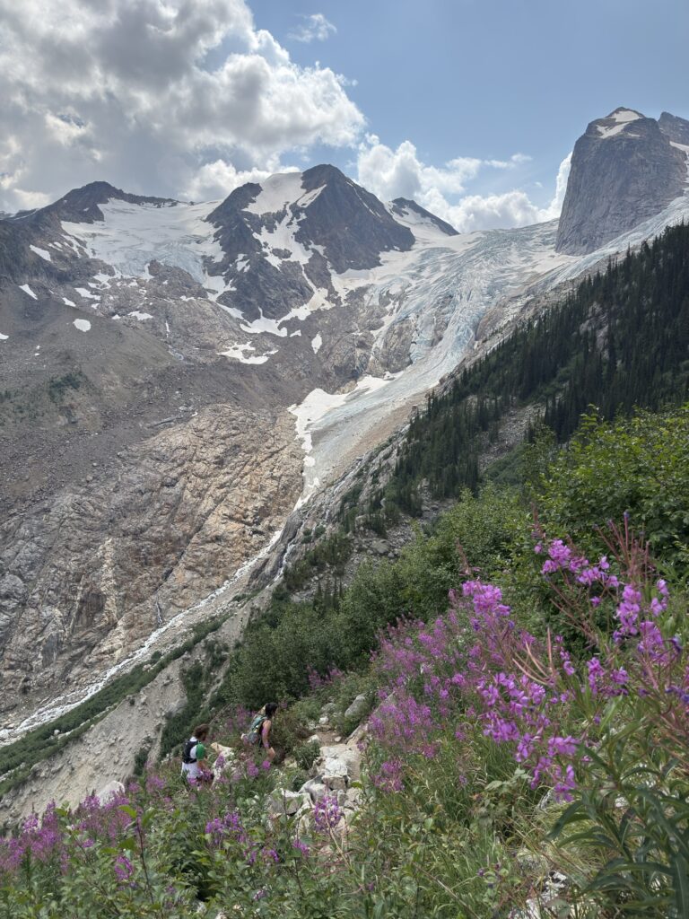 Bugaboos Provincial Park - Conrad Kain Hut / Applebee Dome Img 7621 768x1024