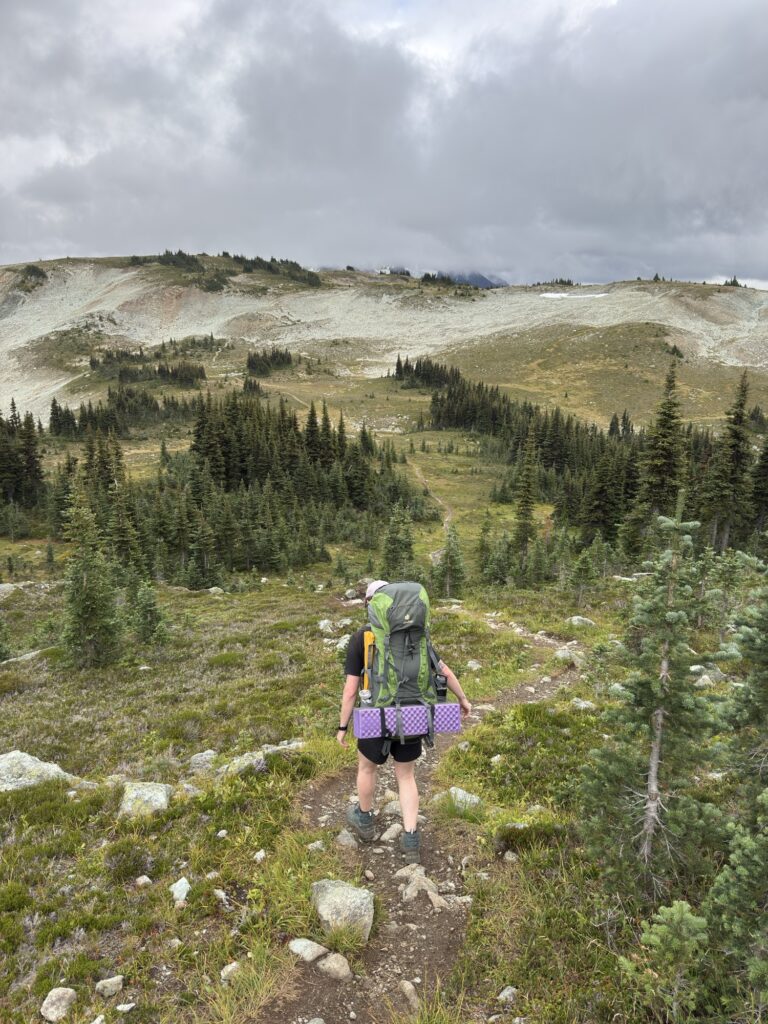 Russet Lake via High Note Trail, Whistler Img 7837 768x1024