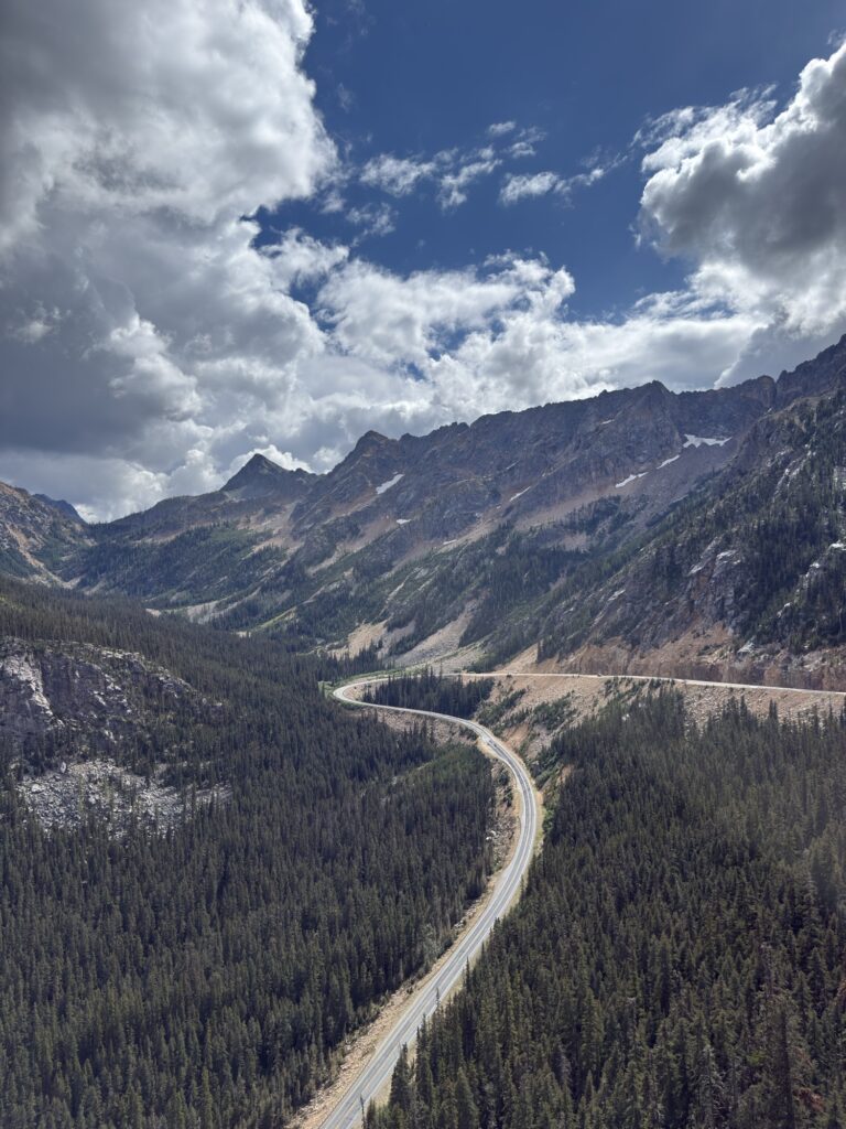 img 7924