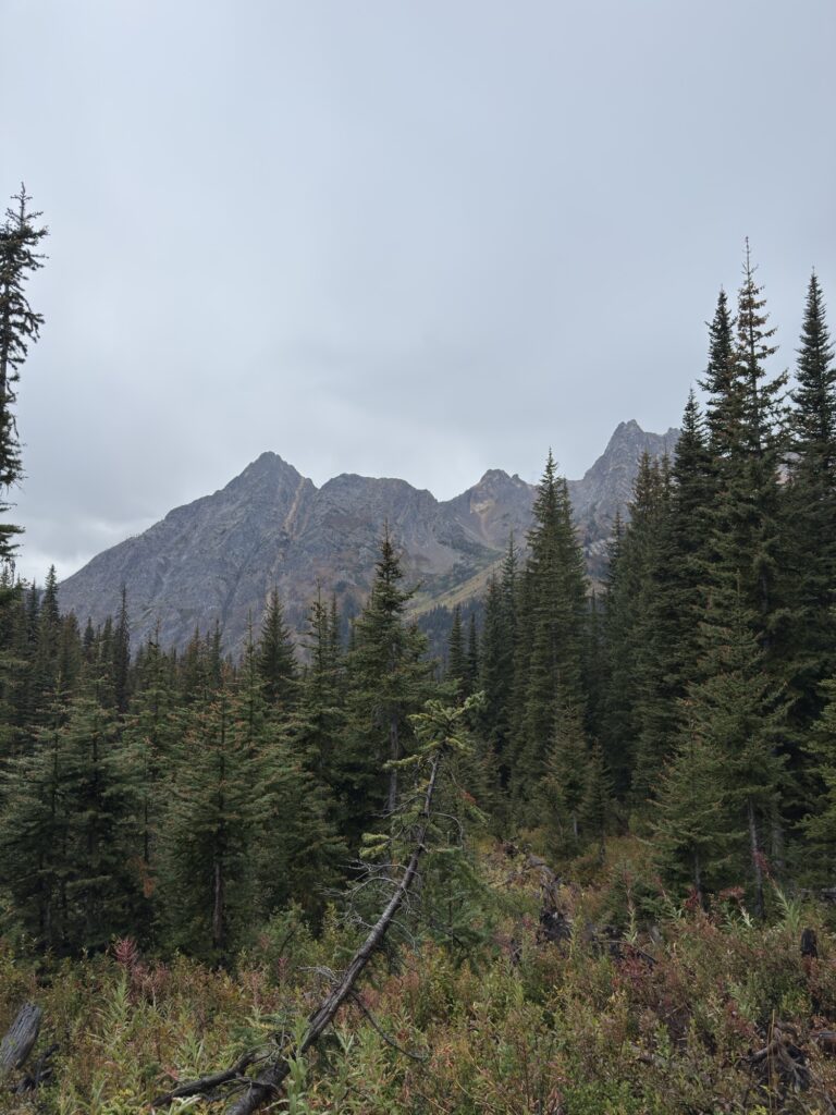 img 7946