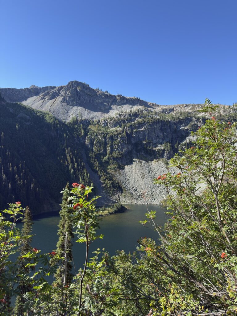 img 7953
