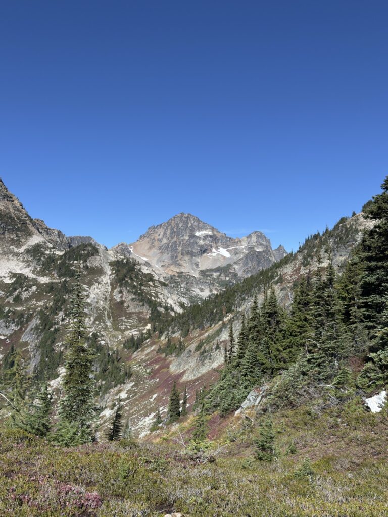 img 7966