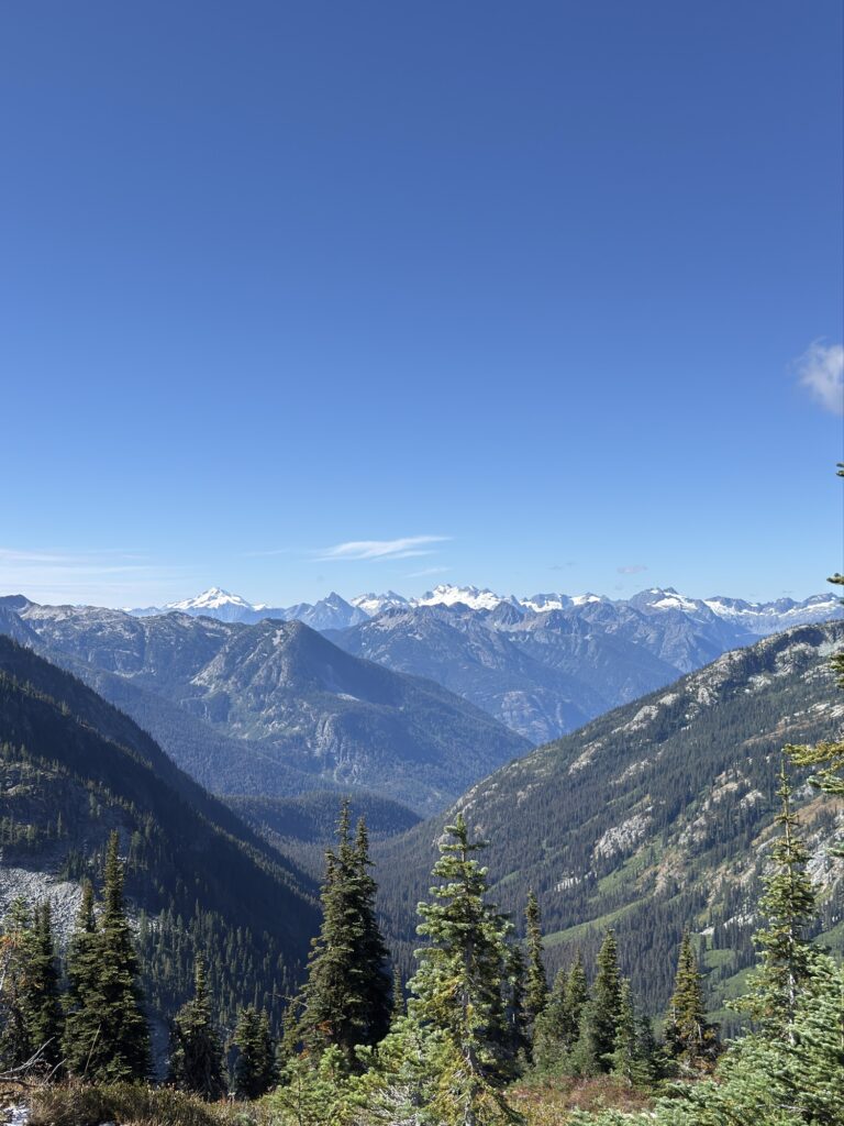 img 7967
